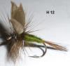 mouche de bouse de vache cowdung (mouche sèche ailée)