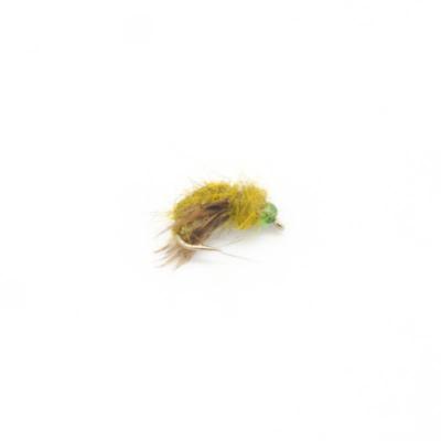 pupe de caddis bourrue (nymphe bille)