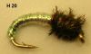 nymphe nacrée pour ombre et corégone (mouche coregone)