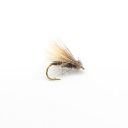 emergente de sedge en cdc et chevreuil (mouche emergente)