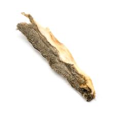 écureuil : demi peau naturelle X-large d'ecureuil roux 