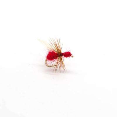 fourmi rouge ailée (mouche diverse)