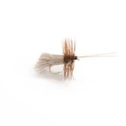 sedge chevreuil Goddard caddis (mouche seche)