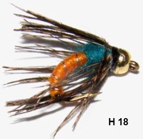 le bug casqué orange (nymphe bille)