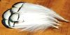 plume de collerette de faisan lady amherst (10 plumes)