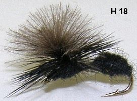 fourmi noire parachute post en cdc (mouche diverse)