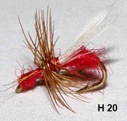 fourmi rouge ailée (mouche diverse)